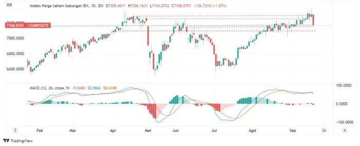 IHSG Tembus 8.000, Analis Prediksi Akan Terus Naik